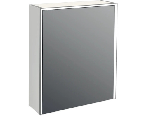 Jungborn Spiegelschrank QUATTRO SEDICI NOVE 60 x 20 x 70 cm grau 1-türig LED IP 44 Spiegelschrank für das Badezimmer