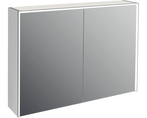 Jungborn Spiegelschrank QUATTRO SEDICI NOVE 100 x 20 x 70 cm grau 2-türig LED IP 44 Spiegelschrank mit Beleuchtung für Badezimmer