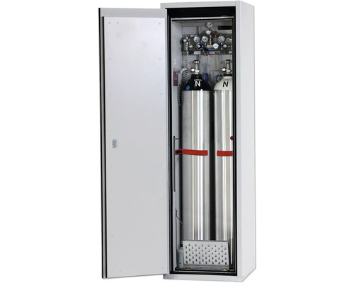 Gasflaschenschrank mit zwei Gasflaschen und Manometern