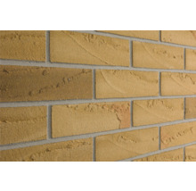 Wand mit Ziegelverblendern