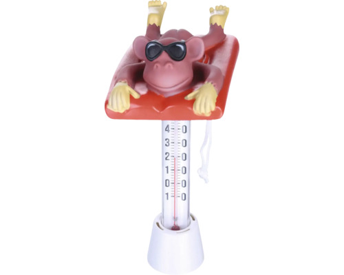 Poolthermometer mit Affenmotiv