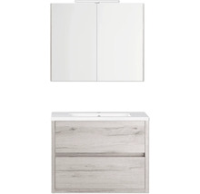 Badezimmermöbel-Set mit Waschtischunterschrank, Waschbecken und Spiegelschrank