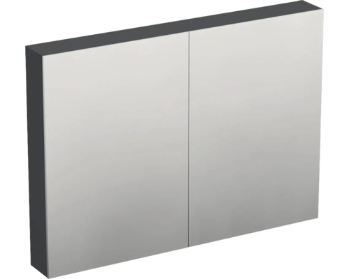 Jungborn Spiegelschrank TRENTA 100 x 14,4 x 72 cm anthrazit matt 3-türig IP 44 Badezimmerschrank mit zwei Türen und Spiegelfront