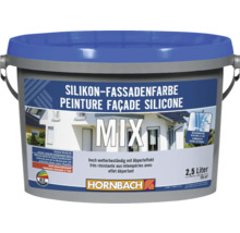 HORNBACH Silikon Fassadenfarbe im Wunschfarbton mischen lassen-thumb-0