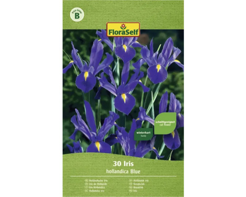 Blumenzwiebel FloraSelf Schwertlilie blau 30 Stk