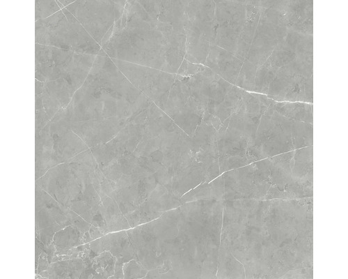 Steinzeug Wand- und Bodenfliese Davos grey 60 x 60 x 0,9 cm glänzend