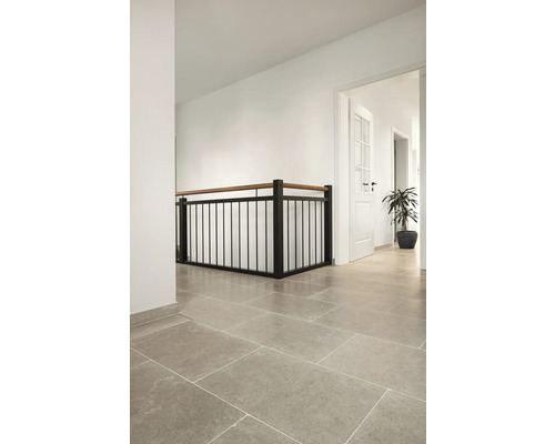 Flur mit Fliesenboden, Treppengeländer und Tür