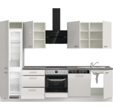 Komplette Küchenzeile mit Kühlschrank, Dunstabzugshaube, Herd, Spüle und Geschirrspüler