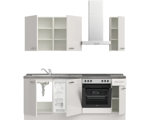 Küchenzeile mit Spüle, Kühlschrank, Herd, Dunstabzugshaube und Hängeschränken