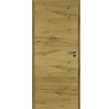 Holztür mit Türgriff und Schloss