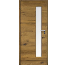 ZT Eiche Bronze Furnier Quer 61x198,5 DIN Links MODERN 07 Glas Satiniert