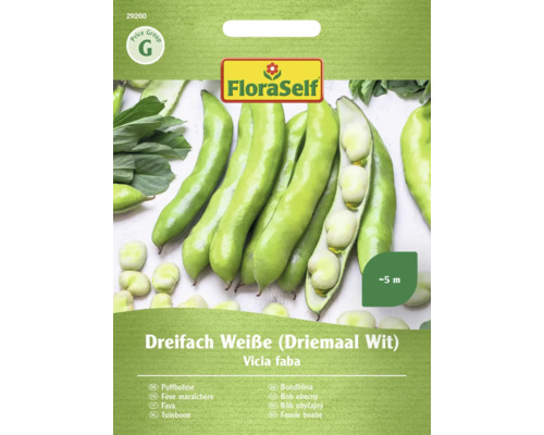 Puffbohne Dreifach Weiße FloraSelf samenfestes Saatgut Gemüsesamen