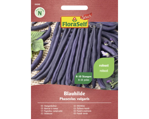 Stangenbohnen Blauhilde FloraSelf Select samenfestes Saatgut Gemüsesamen