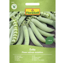 Markerbse Evita Samenpackung