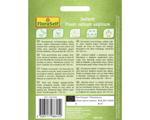 Delikett Pisum sativum axiphium Erbsensamenpackung