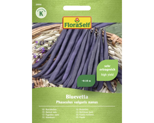 Buschbohnen Bluevetta FloraSelf samenfestes Saatgut Gemüsesamen