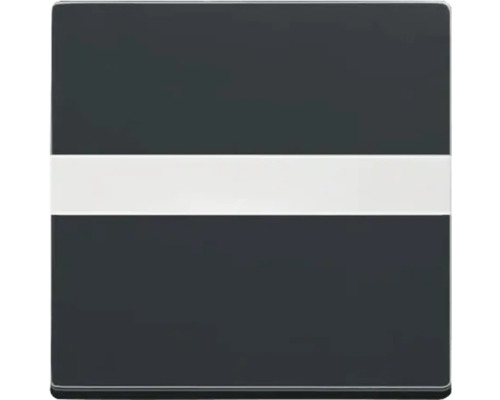 Busch-Jaeger 1764 NLI-885 Wippe mit Beschriftungsfeld Future Linear schwarz/matt Schaltereinsatz mit horizontalem Streifen