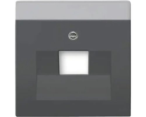 Busch-Jaeger 1803-885 Zentralscheibe Abdeckung 1-fach UAE Future Linear schwarz/matt LED-Orientierungsleuchte für den Innenbereich
