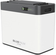 Bluepalm Powerstation V1.2 2240 Wh 800 W-thumb-6