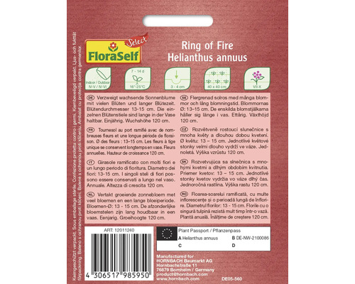Ring of Fire Helianthus annuus Pflanzenbeschreibung