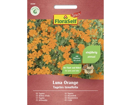 Kleinblütige Tagetes Luna Orange FloraSelf Select Samenfestes Saatgut Blumensamen
