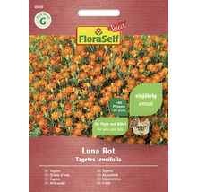 FloraSelf Tagetes Luna Rot Saatgutpackung