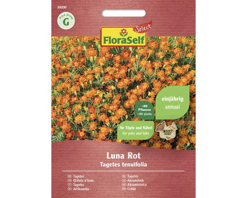 Kleinblütige Tagetes Luna Rot FloraSelf Select Samenfestes Saatgut Blumensamen FloraSelf Tagetes Luna Rot Saatgutpackung