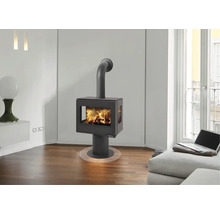 Moderner Kaminofen im Wohnzimmer mit Holzfeuer.