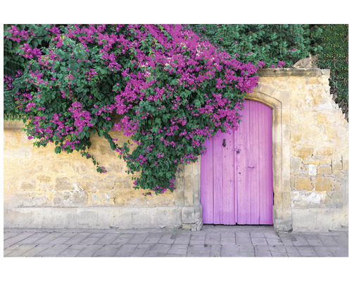 Außenaufnahme einer Holztür mit Bougainvillea und Steinmauer