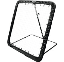 Ballfangnetz mit schwarzem Rahmen und Netz