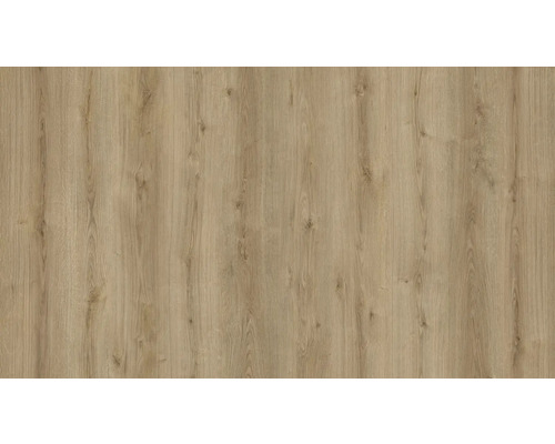 PICCANTE Dekorkante Eiche K4421 44x650 mm (2 Stück) Holzdekorelement für Möbelbau