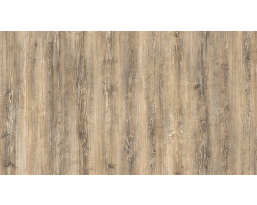 PICCANTE Dekorkante Pine 34232 44x650 mm (2 Stück)