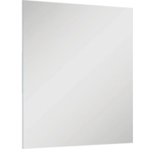 Jungborn Badspiegel 70x80x1,9 cm
