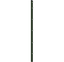Pfosten 6 x 4 x 240 cm für Zaun 183 cm Höhe RAL 6005 moosgrün