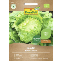 FloraSelf Saladin Eisbergsalat Samenpackung