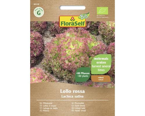 Bio Schnittsalat/Pflücksalat Lollo rossa FloraSelf Bio Samenfestes Saatgut Salatsamen FloraSelf Lollo Rossa Pflücksalat-Samenpackung