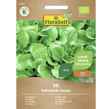 Bio Feldsalat Vit FloraSelf Bio Samenfestes Saatgut Salatsamen
