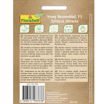 Samenpackung für Spinacia oleracea Reuzenblad, geeignet für den Anbau im Freien