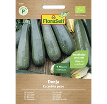 Bio Zucchini Dunja FloraSelf Bio Hybrid-Saatgut Gemüsesamen