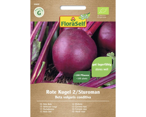 Bio Rote Beete Rote Kugel 2/Sturoman FloraSelf Bio Samenfestes Saatgut Gemüsesamen FloraSelf Rote Bete Samen der Sorte Rote Kugel 2/Sturoman