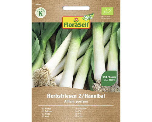Bio Porree Herbstriesen 2/Hannibal FloraSelf Bio Samenfestes Saatgut Gemüsesamen