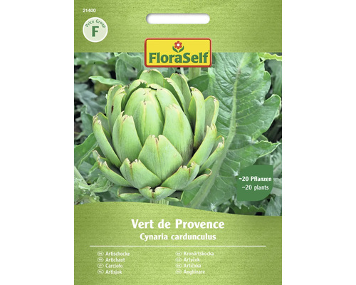 Artischocke Vert de Provence FloraSelf samenfestes Saatgut Gemüsesamen