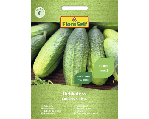 Salatgurke Delikatess FloraSelf samenfestes Saatgut Gemüsesamen