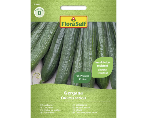 Salatgurke FloraSelf samenfestes Saatgut Gemüsesamen