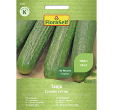 FloraSelf Gurkensamen Tanja, Salatgurke, Inhalt reicht für circa 30 Pflanzen