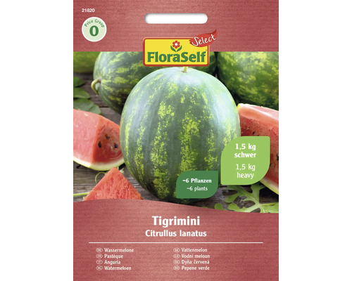 FloraSelf Tigrimini Wassermelonen Samenpackung, circa 6 Pflanzen, Gewicht circa 1,5 Kilogramm FloraSelf Tigrimini Wassermelonen Samenpackung, circa 6 Pflanzen, Gewicht circa 1,5 Kilogramm