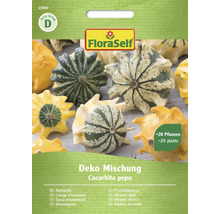Kürbis Deko Mischung FloraSelf Samenfestes Saatgut Gemüsesamen