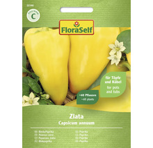 FloraSelf Paprika Zlata Samenpackung