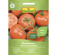 FloraSelf Samen Moneymaker Salat-Tomate