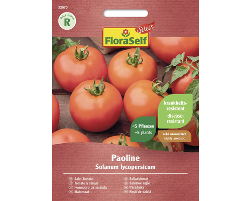 Tomate Paoline FloraSelf Select Hybrid-Saatgut Gemüsesamen
